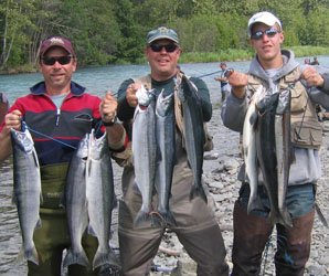 Sockeye Salmon Fishing Alaska